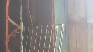 Barn Swallows, how did they remember this barn?