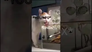 When You Install LINUX Into Your PC | MEME WARNING 