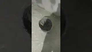 Штукатурка стен.(2)