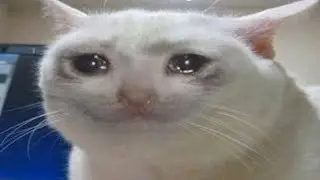 Lucid Dreams Memes