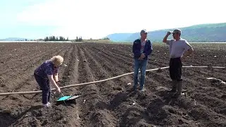 Посевная 2024