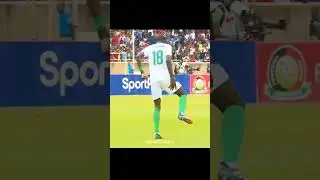 Rare Penalty Moments 😳