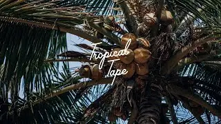Quim Manuel O Espirito Santo - Senhor Doutor (Adam Port Edit)