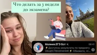 3 недели до ЕГЭ. ЧТО ДЕЛАТЬ, ЕСЛИ СТРАШНО ПЕРЕД ЕГЭ?
