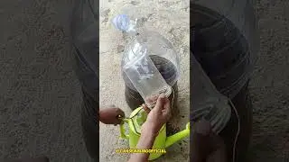 AKHIRNYA JADI JUGA RAMUAN BUAT PROGRES IKAN CANA, Bantu subscribe yh #shorts #bolang #daun #ketapang