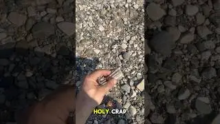 Can you tell me what it is?