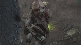 Stalker anomaly REDUX