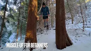 HowTo: MUSCLE UP FOR BEGINNERS