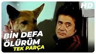 Bin Defa Ölürüm | Cüneyt Arkın Türk Filmi Tek Parça