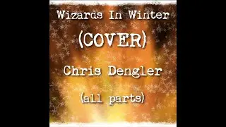Wizards In Winter cover