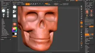Skull Base - ZBrush Sculpt Timelapse (2x speed)