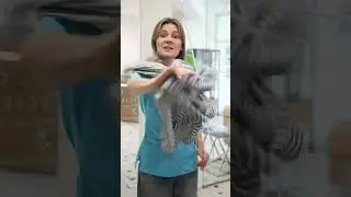 Doc2Doc — это образовательный проект, созданный врачами для врачей