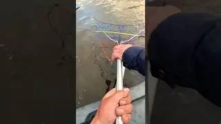 Щучка Попалась 🎣#деревенскаяжизнь #рыбалка #гэлвин