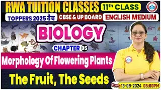 Class 11 Biology Chapter 5 | Morphology Of Flowering Plants By Vandana Mam