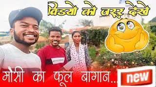 रहस्यमय: क्या आपने मौसी का फूलबगान देखा है?