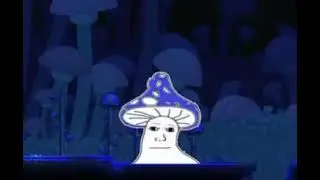 m u s h r o o m