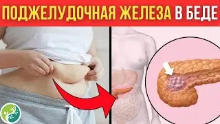 Проблемы С Поджелудочной! Признаки Заболевания Поджелудочной!