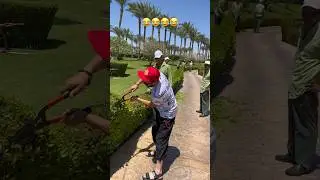 Балкарский Садовник в Египте 😂 Озеленение Египта Ландшафт Дизайн 