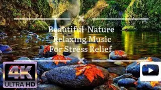 Calming music for deep relaxation @NatureTech2021