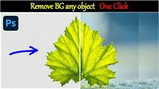Photoshop 2023 : How to Remove Background (Fast Tutorial)