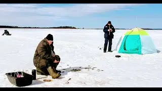27.03.21 рыбалка в Мелькене на белую. Погода отличная, клев хороший. Сьемка с дрона...