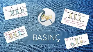 8. Sınıf Fen Bilimleri - Basınç #LGS2021