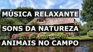 Musica relaxante com sons da natureza - animais na casa de campo