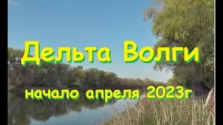 О таком открытие летнего сезона можно только мечтать. Дельта Волги 2023, начало апреля