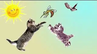 Коты и комар
