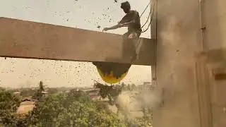 #harvesting #honey  from #honeycomb #hive #youtube #video #viral #trending #honeybee #vibes #moments