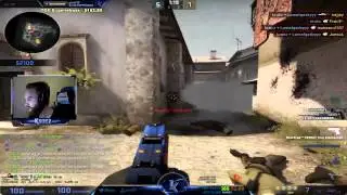 THE POWER OF THE MOLLY