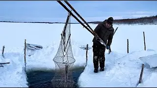 Wick fishing in the north. A lucky catch! Whose tracks were those?