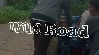 Wild Road