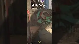 molly default plant on CS2 Overpass 