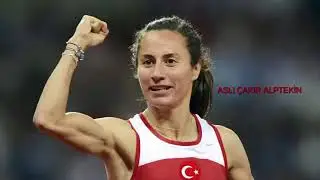 Survivor 2019 kadrosu Ünlüler Gönüllüler