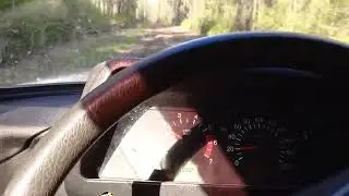 нива по бездорожью и Коля в прицепе
