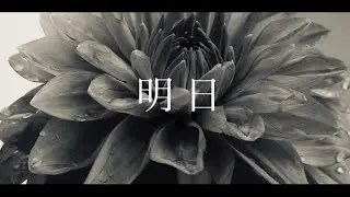 n. − 明日 (Official Lyric Video)