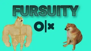 FURSUITY OLX (Furry PL)