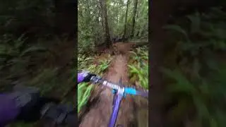 Fast and rough