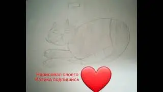 нарисовал котика -томика