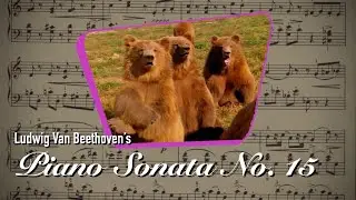 (Music Recomposition) - Ludwig Beethoven’s Piano Sonata No. 15, Op. 28, 4th Movement