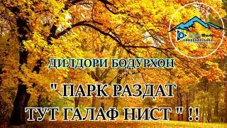 ДИЛДОРИ БОДУРХОН - ПАРК РАЗДАТ ТУТ ГАЛАФ НИСТ !