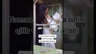 Zapal 2020 Namangan запал