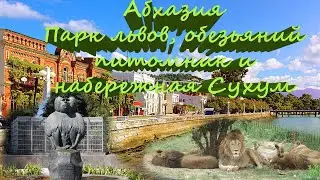🌴Абхазия🌴Парк львов🌴Обезьяний питомник🌴набережная Сухум🌴