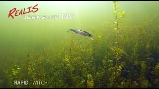 Advanced Lure Instruction - Realis Jerkbait pt .1