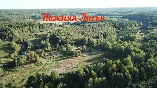 Нижняя Лисья