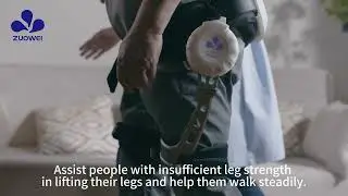 Intelligent walking-assistance robot