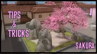 Tips & Tricks on New Update | Standoff 2