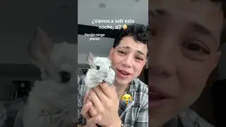 Watching this little angel 🐹 eat his raisins 🥺 I MISS HIM😭 
