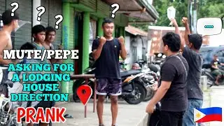 MUTE/PEPE PRANK| ASKING FOR A LODGING  HOUSE DIRECTION PRANK
